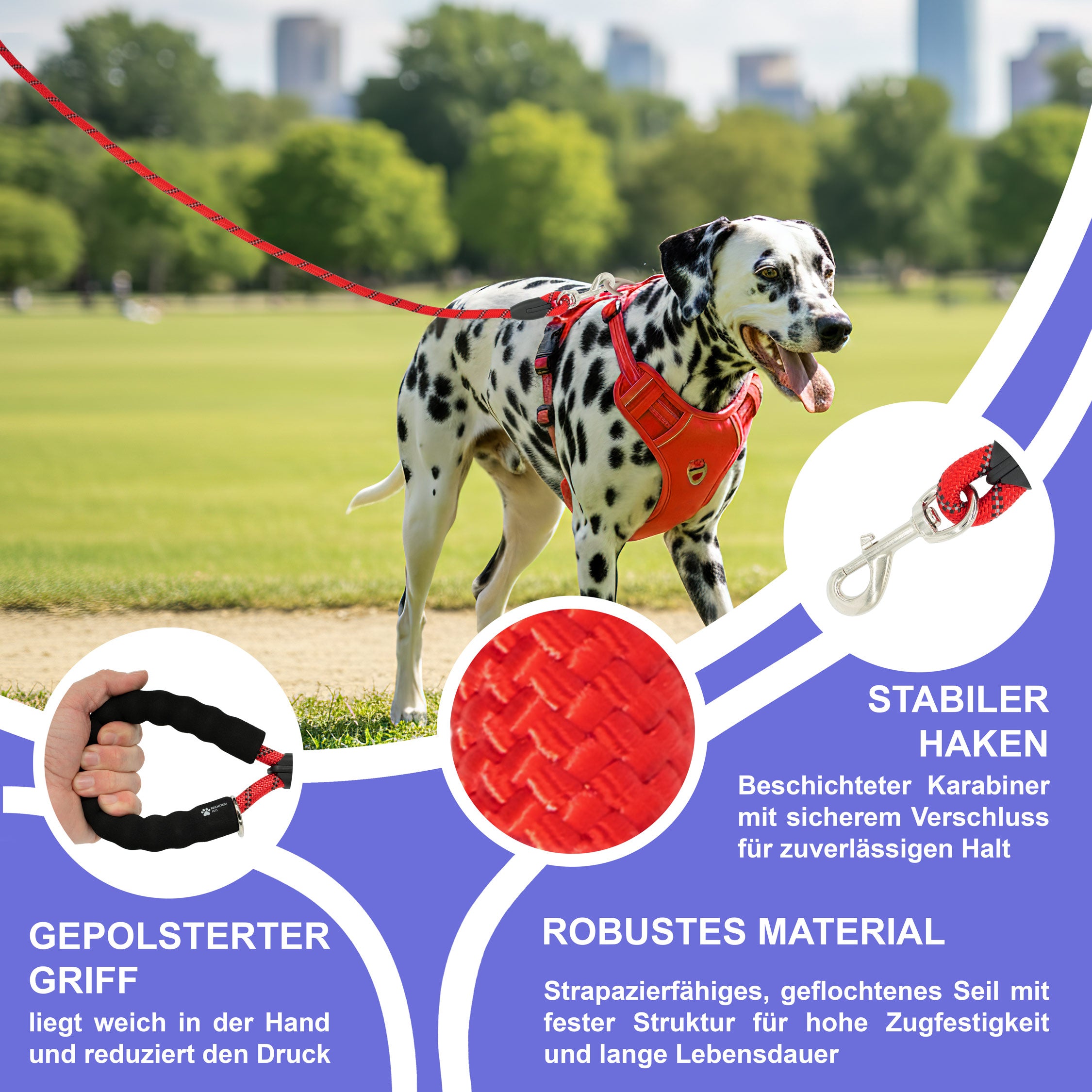 RS Pets Hundeleine Nylon 25RSP084 - Red