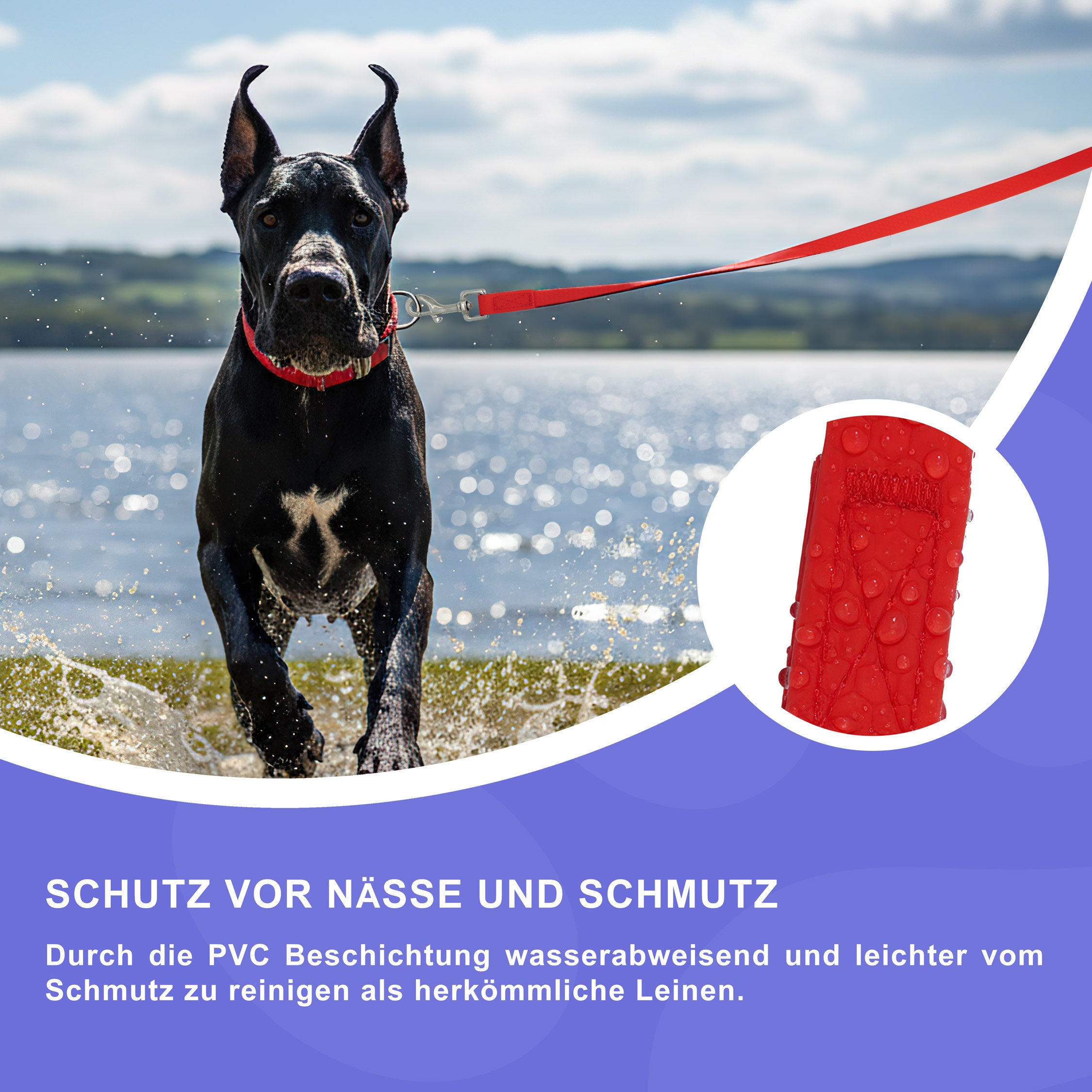 RS Pets Hundeleine Texturierte PVC 25RSP085 - Red