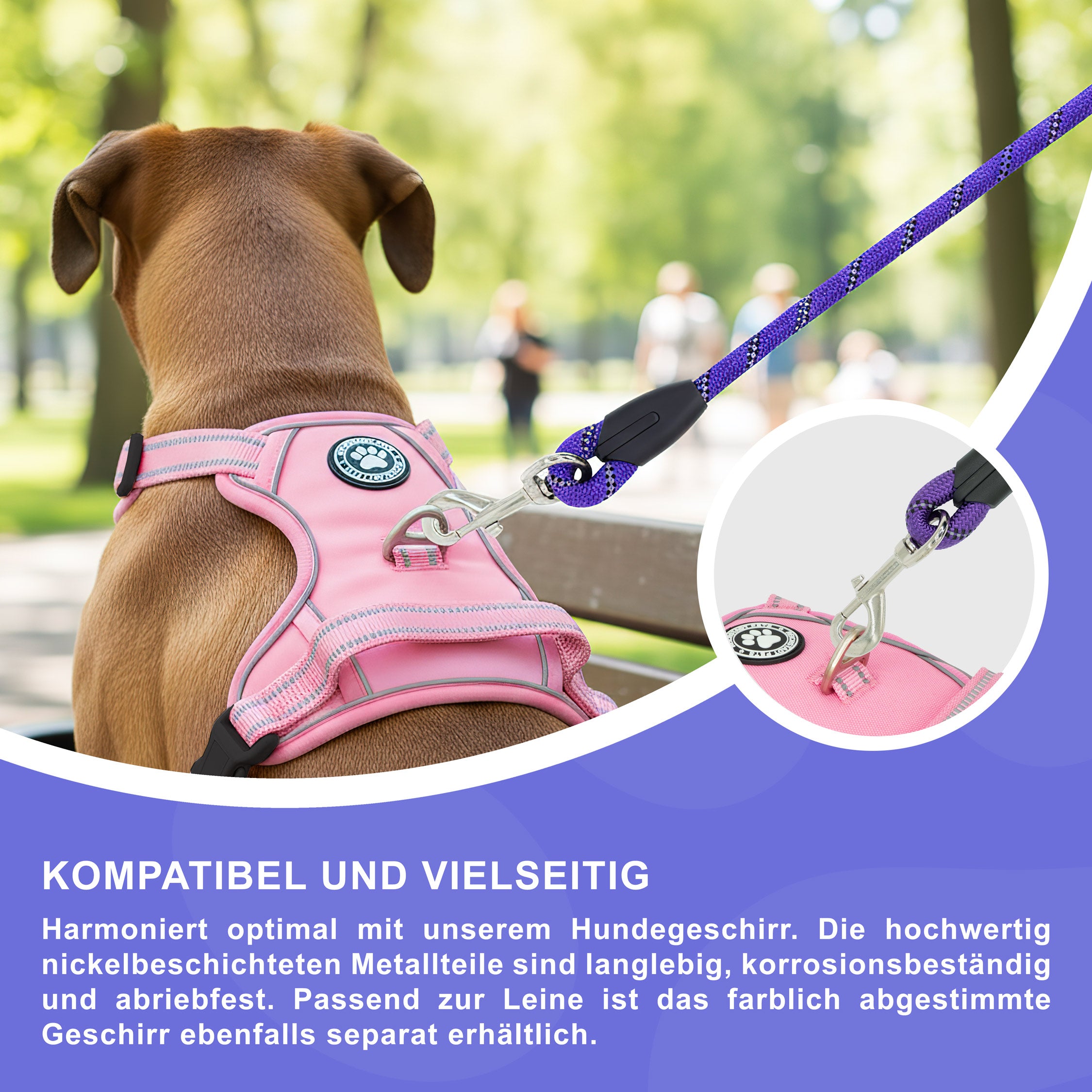 RS Pets Hundeleine Nylon 25RSP084 - Purple