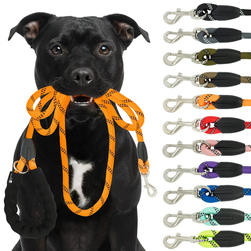 RS Pets Hundeleine Nylon in Orange – Reichstadt