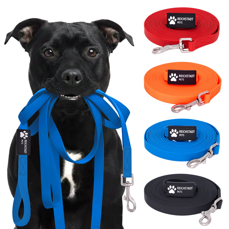 RS Pets Hundeleine PVC in Blue – Reichstadt