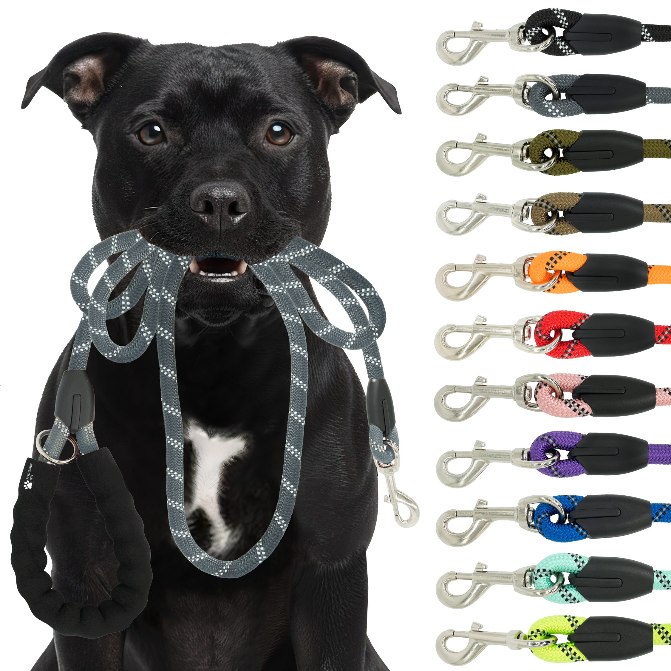 RS Pets Hundeleine Nylon in Grey – Reichstadt