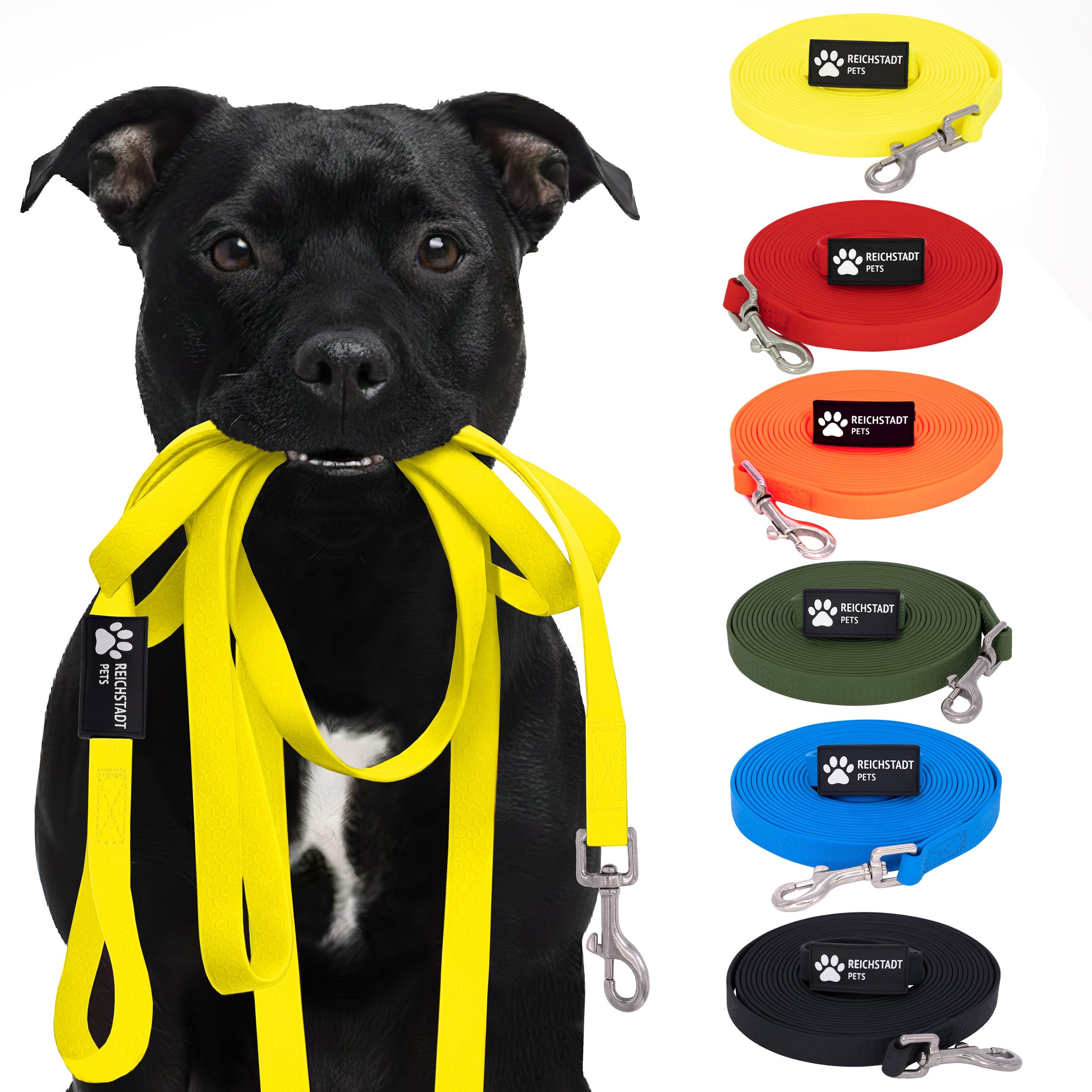 RS Pets Hundeleine Texturierte PVC in Yellow – Reichstadt