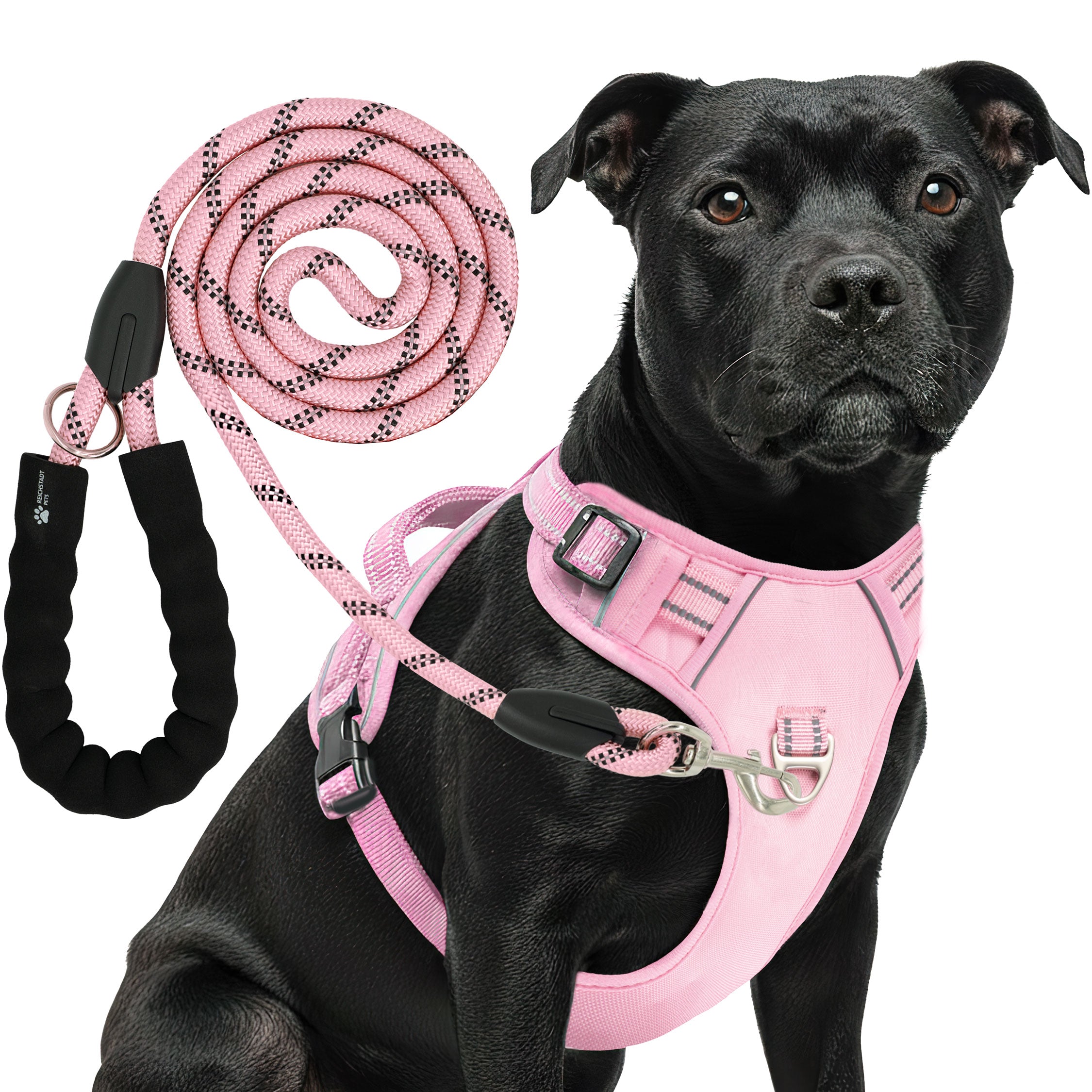 RS Pets Hundegeschirr & Leinen Set in Pink – Reichstadt
