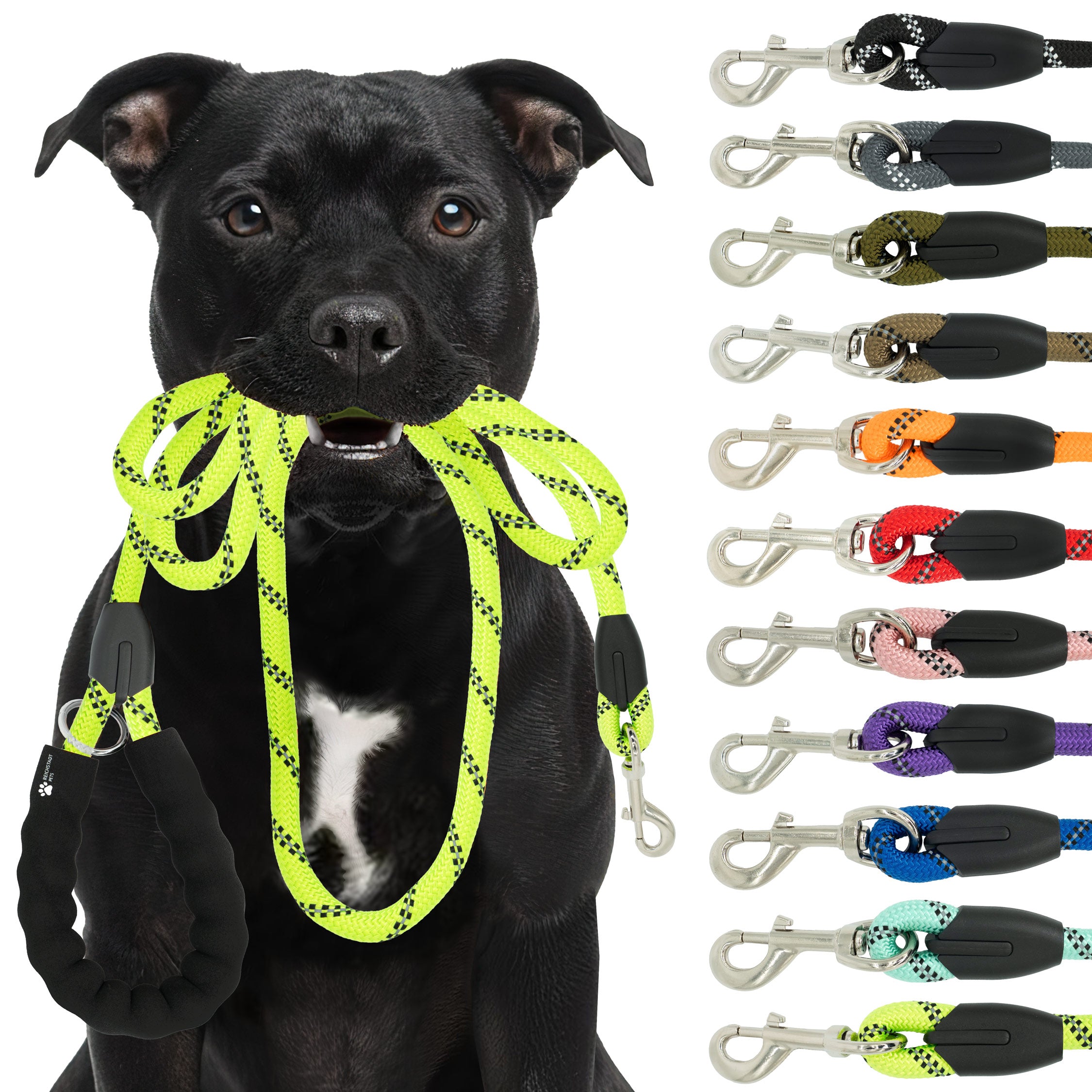 RS Pets Hundeleine Nylon in Lime Green – Reichstadt