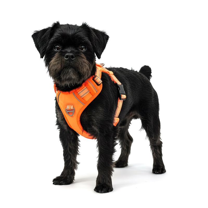 RS Pets Hundegeschirr 25RSP083 - Orange