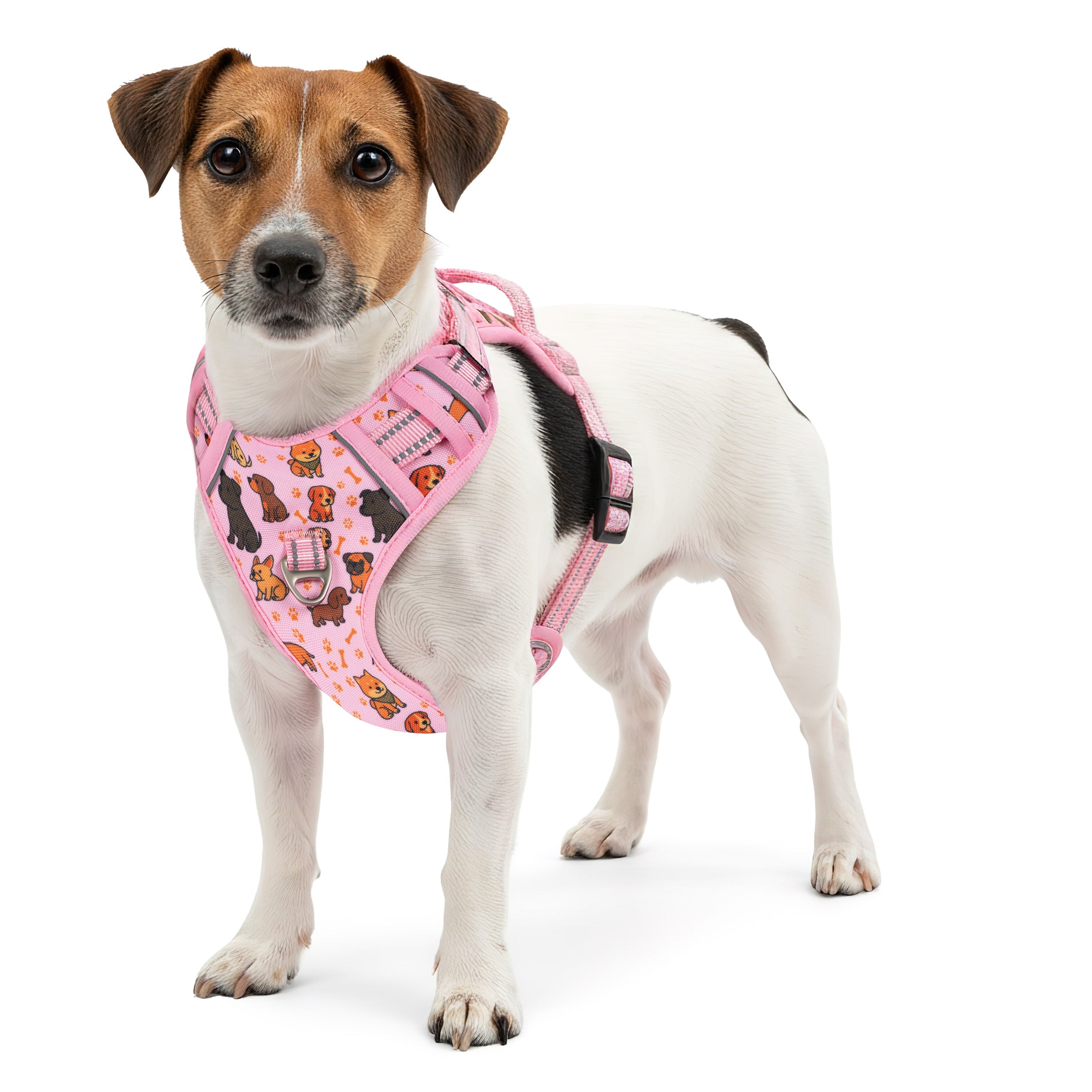 RS Pets Hundegeschirr in Puppy Parade Pink – Reichstadt