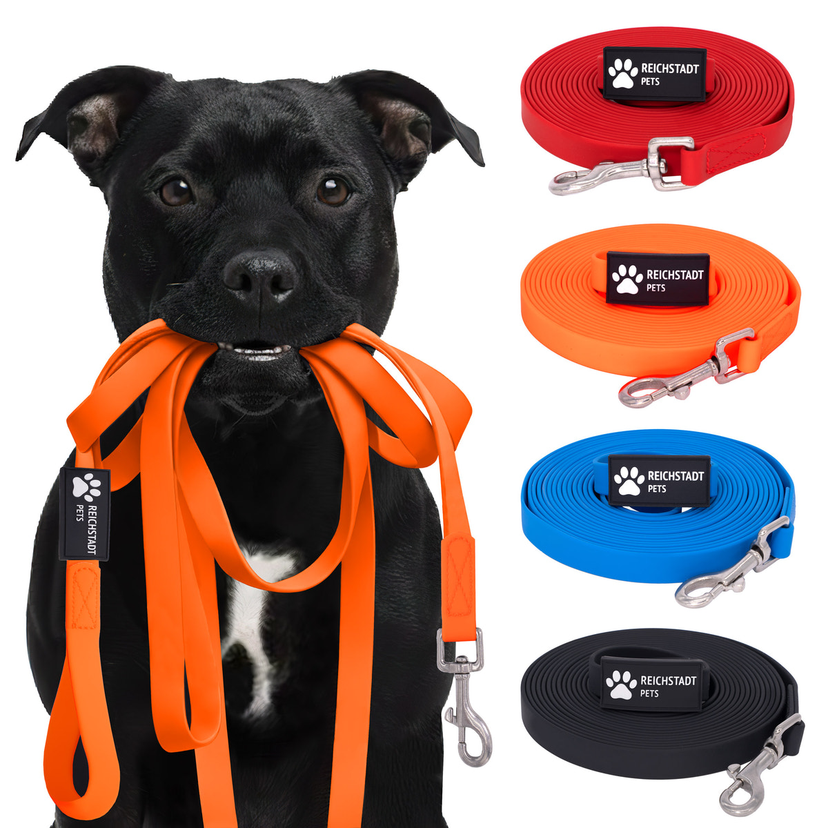 RS Pets Hundeleine PVC in Orange – Reichstadt