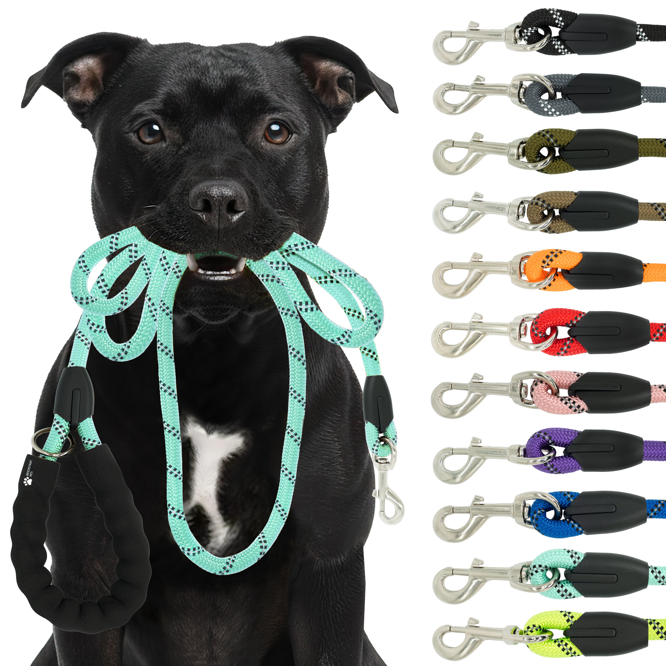 RS Pets Hundeleine Nylon in Turquoise – Reichstadt