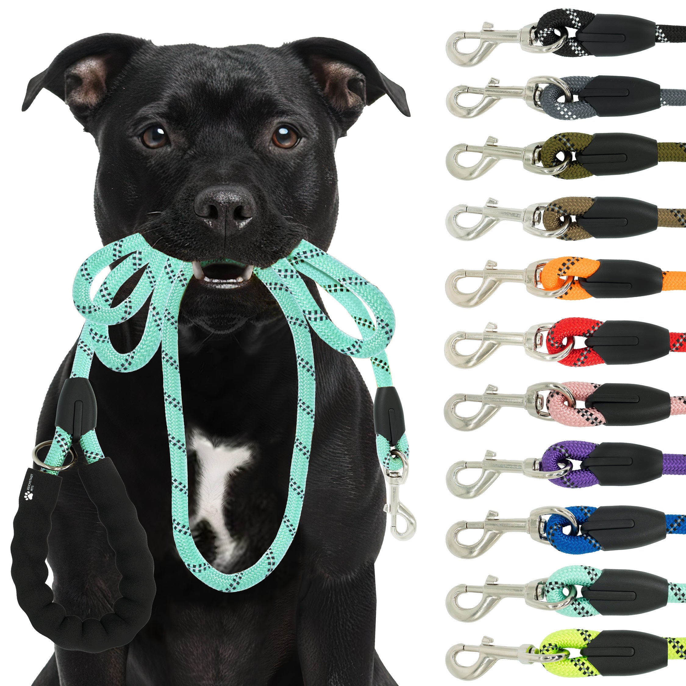 RS Pets Hundeleine Nylon in Turquoise – Reichstadt
