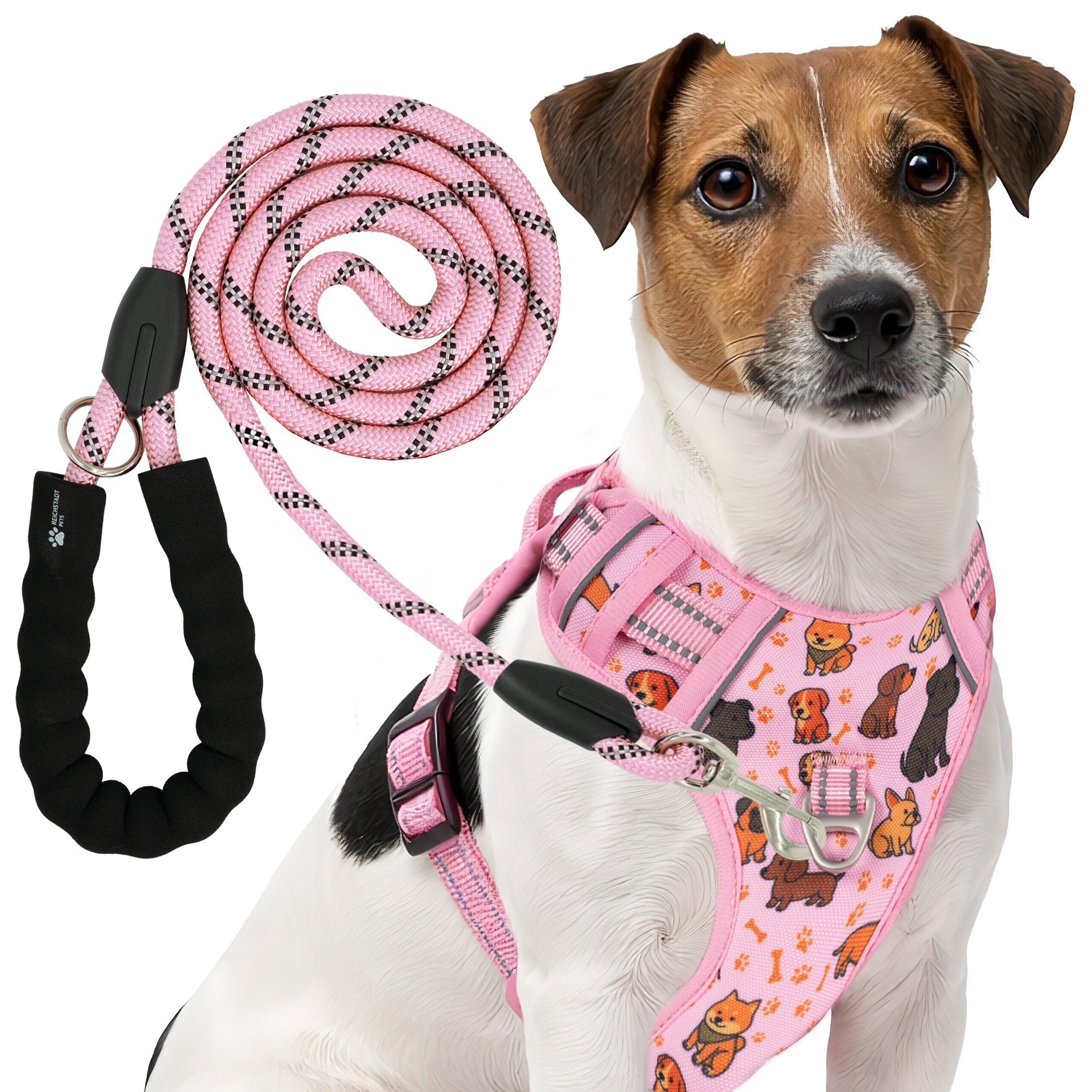RS Pets Hundegeschirr & Leinen Set in Puppy Parade Pink – Reichstadt
