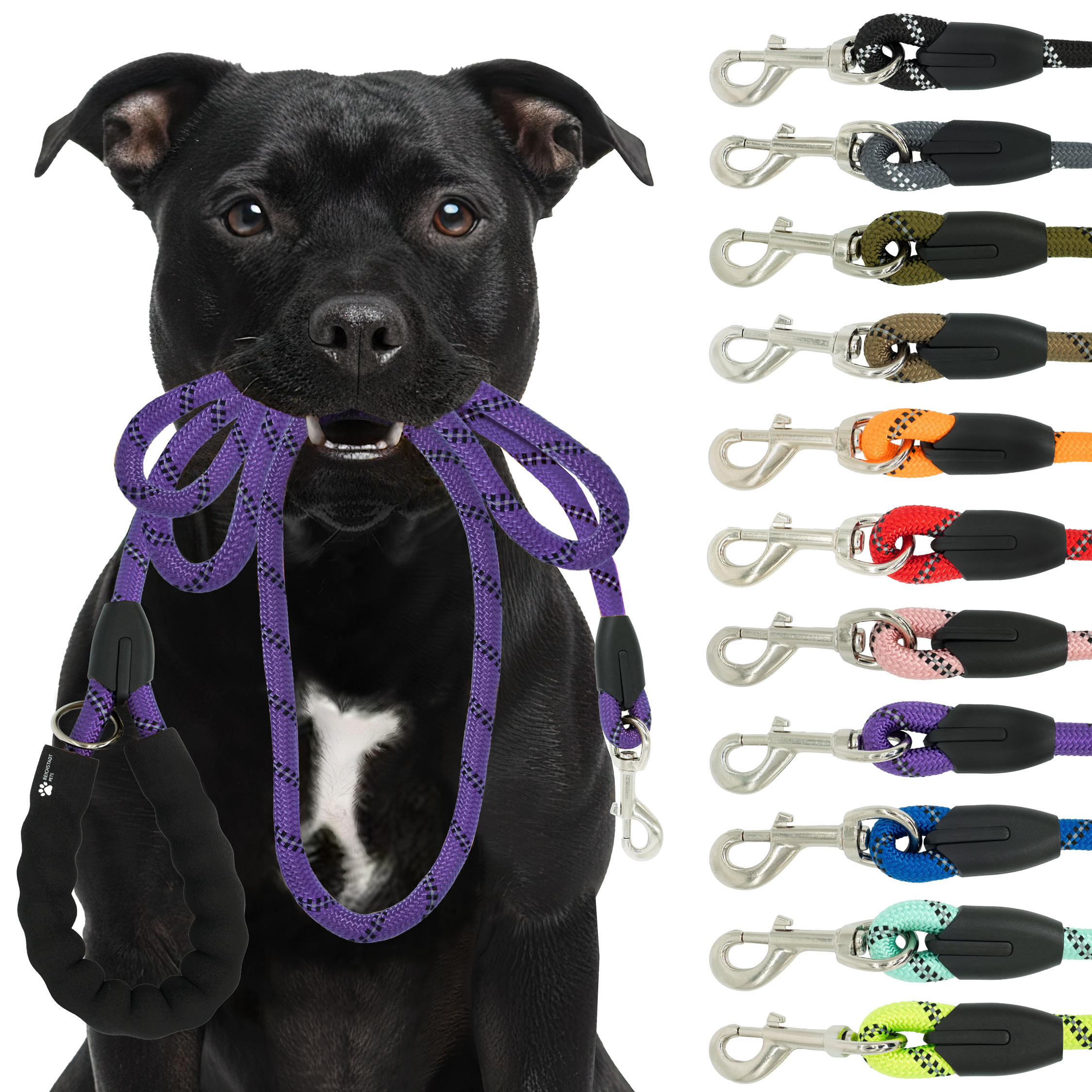 RS Pets Hundeleine Nylon in Purple – Reichstadt
