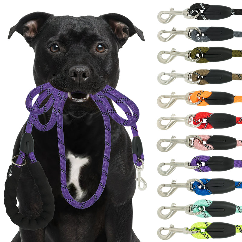 RS Pets Hundeleine Nylon in Purple – Reichstadt