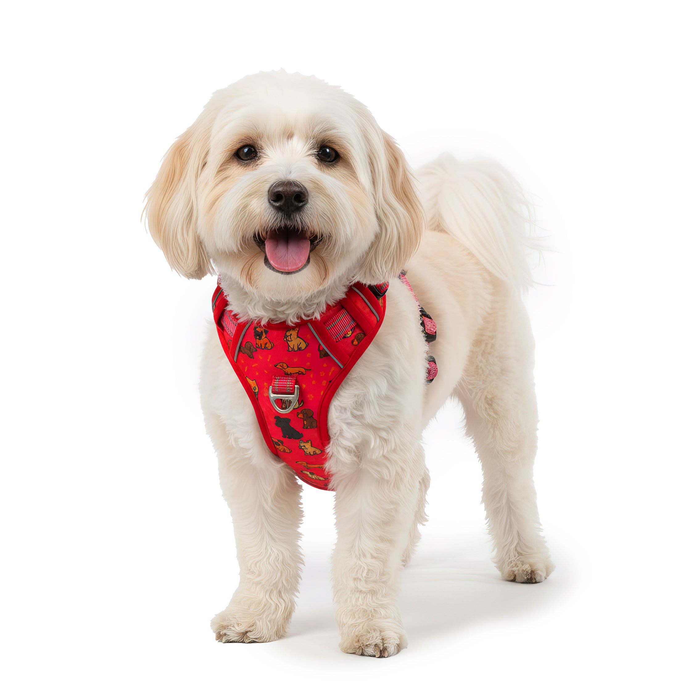 RS Pets Hundegeschirr in Puppy Love Red – Reichstadt