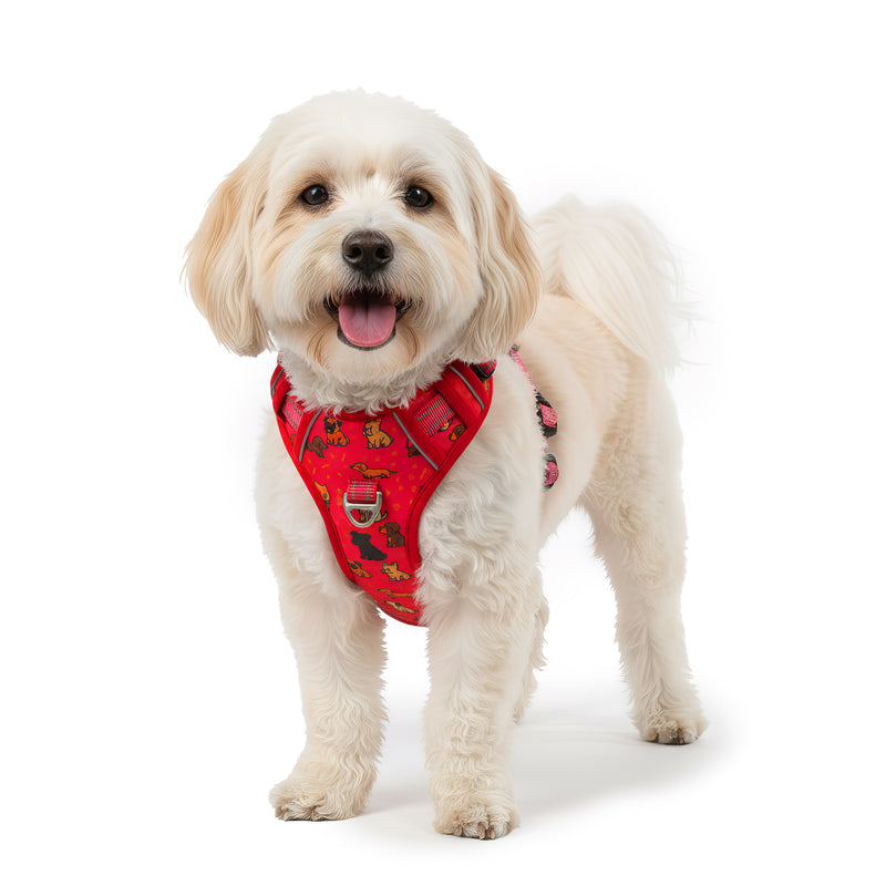 RS Pets Hundegeschirr in Puppy Love Red – Reichstadt