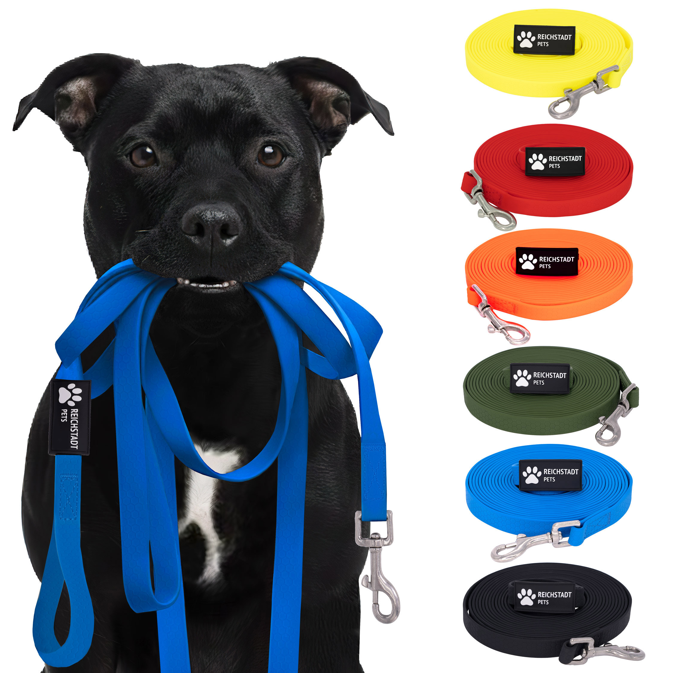 RS Pets Hundeleine Texturierte PVC in Blue – Reichstadt