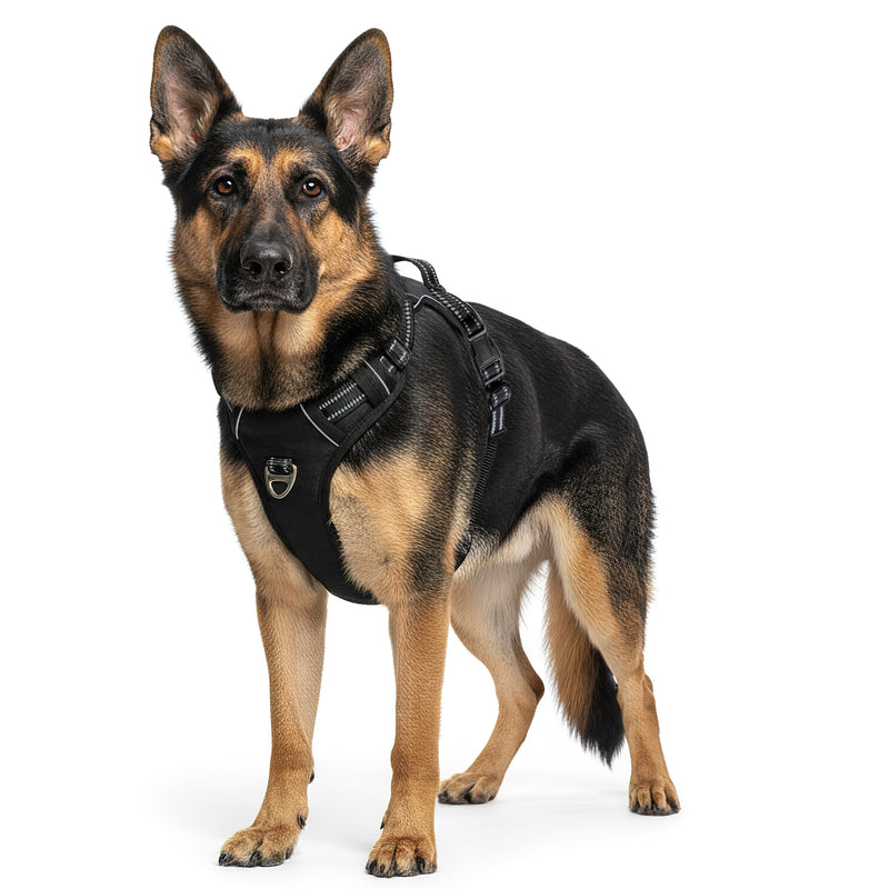 RS Pets Hundegeschirr 25RSP083 - Black