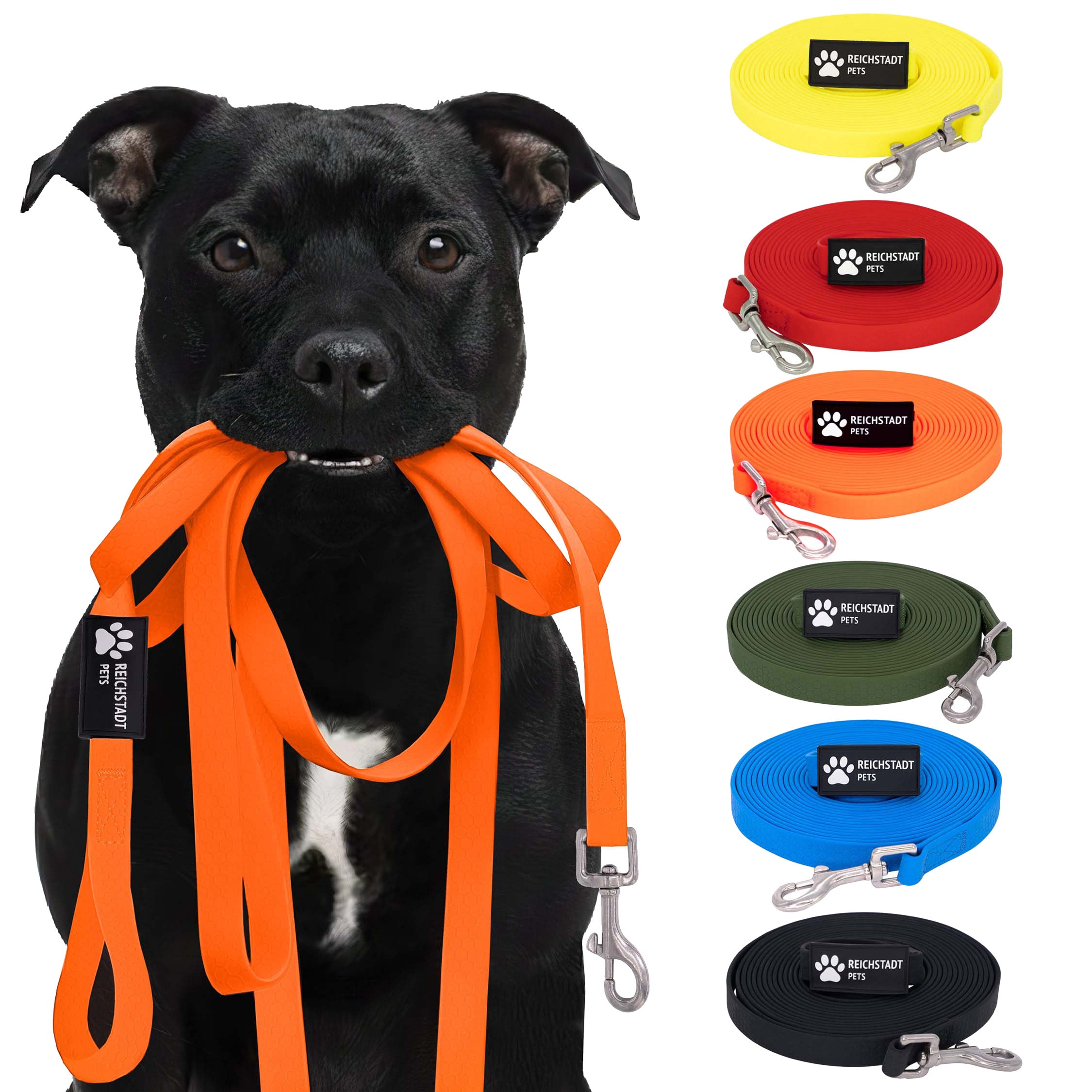 RS Pets Hundeleine Texturierte PVC in Orange – Reichstadt