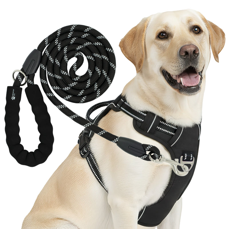 RS Pets Hundegeschirr & Leinen Set 25RSP083-4 - Black
