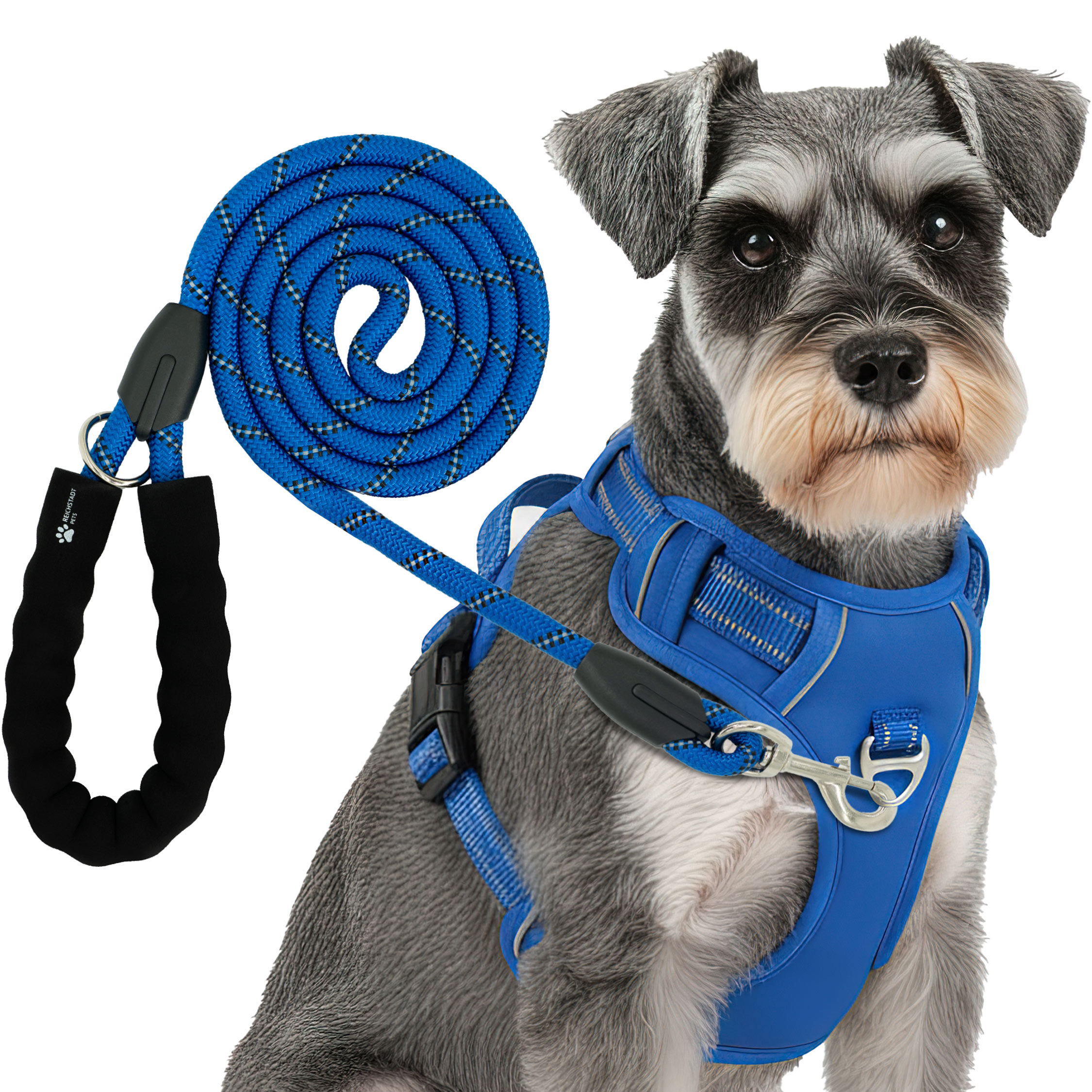 RS Pets Hundegeschirr & Leinen Set in Blue – Reichstadt