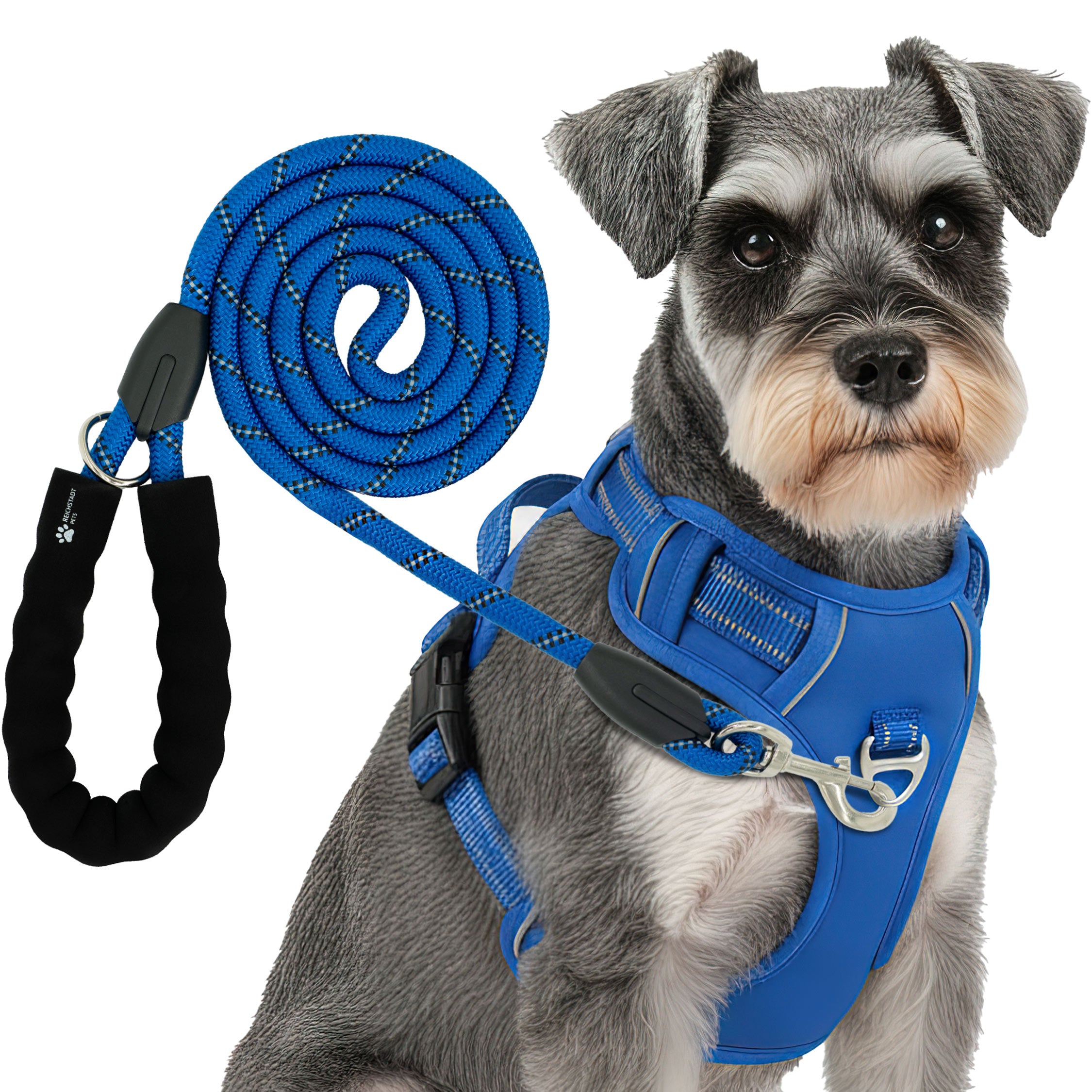 RS Pets Hundegeschirr & Leinen Set in Blue – Reichstadt