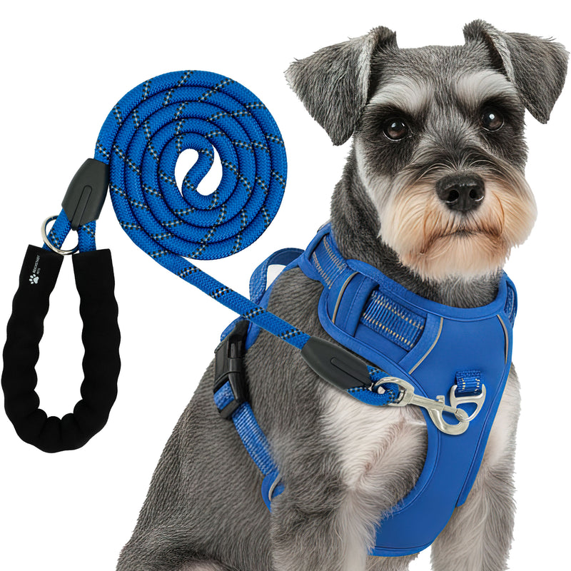 RS Pets Hundegeschirr & Leinen Set 25RSP083-4 - Blue