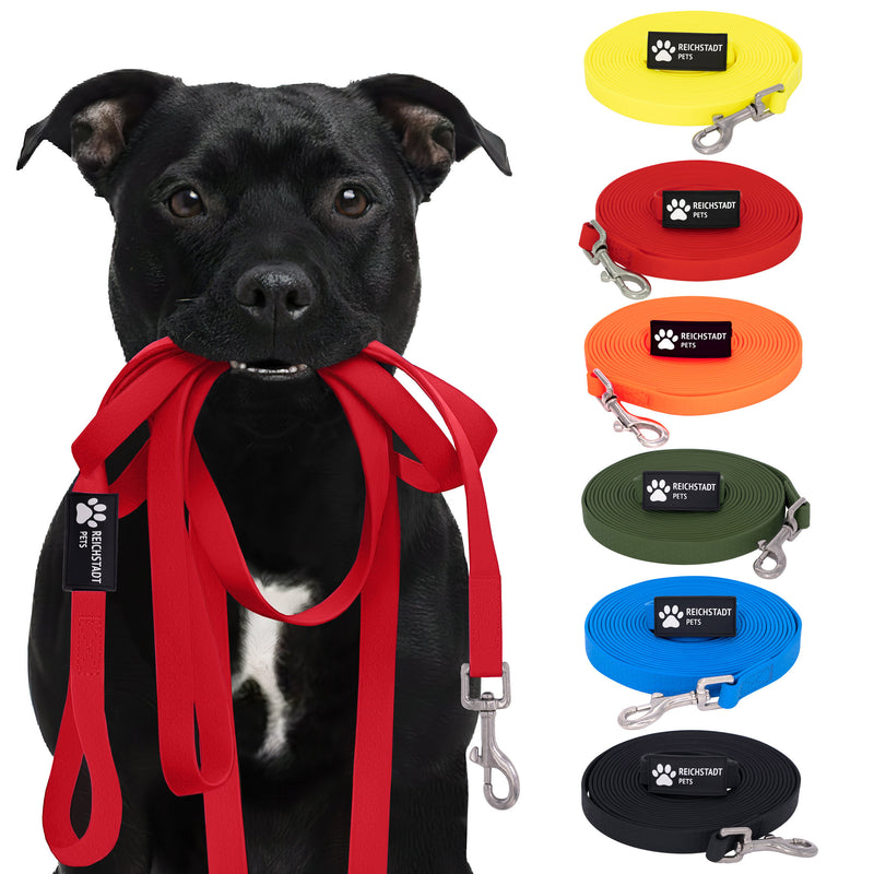 RS Pets Hundeleine Texturierte PVC in Red – Reichstadt