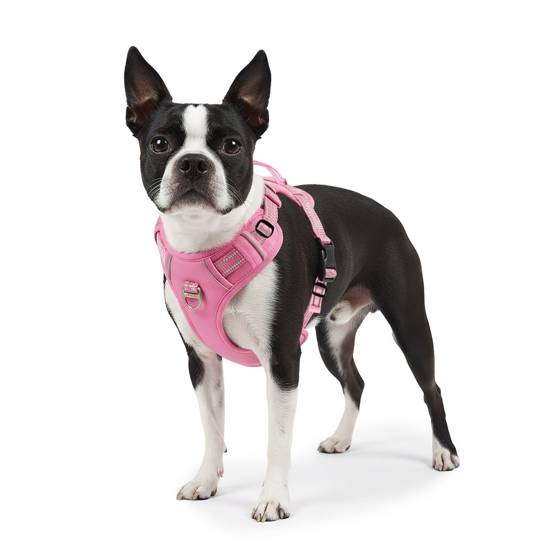 RS Pets Hundegeschirr 25RSP083 - Pink