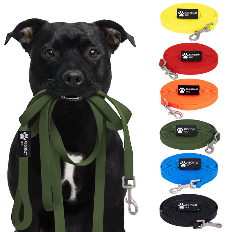 RS Pets Hundeleine Texturierte PVC in Green – Reichstadt