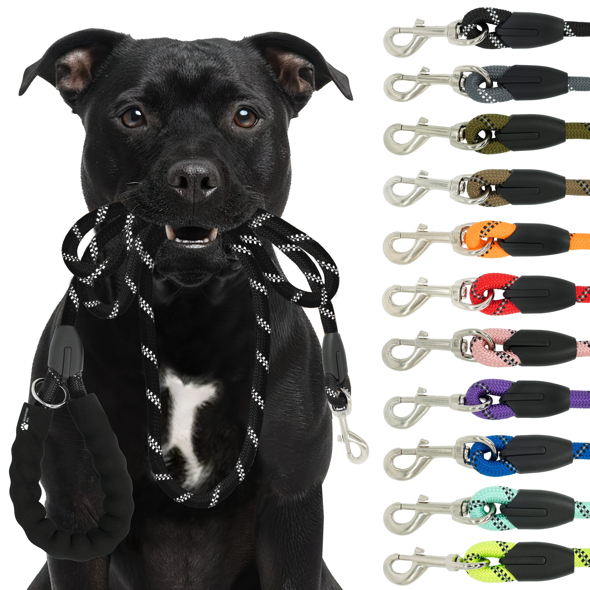 RS Pets Hundeleine Nylon in Black – Reichstadt