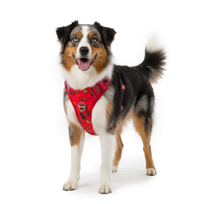 RS Pets Hundegeschirr 25RSP083 - Puppy Love Red