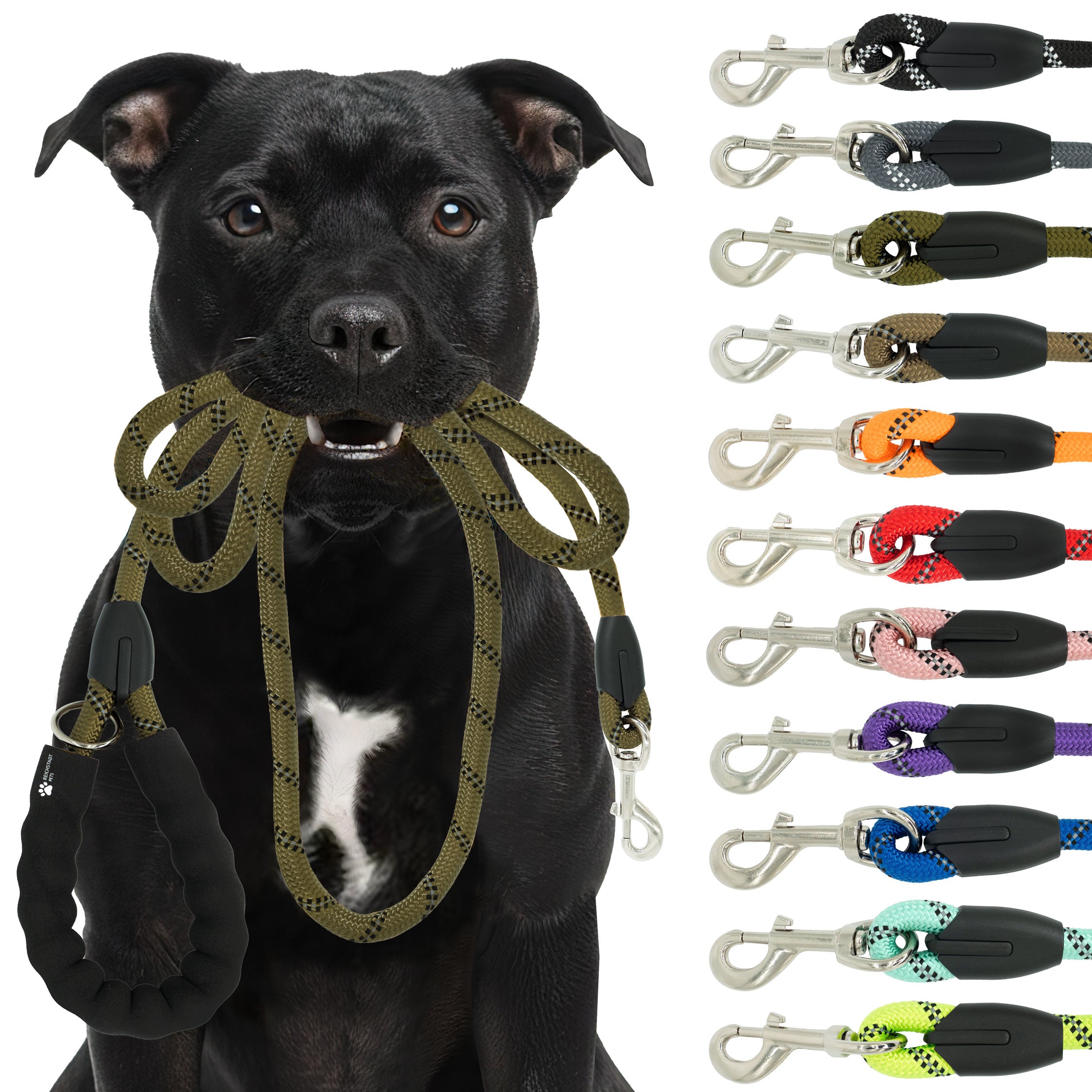 RS Pets Hundeleine Nylon in Green – Reichstadt