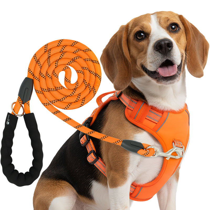 RS Pets Hundegeschirr & Leinen Set 25RSP083-4 - Orange