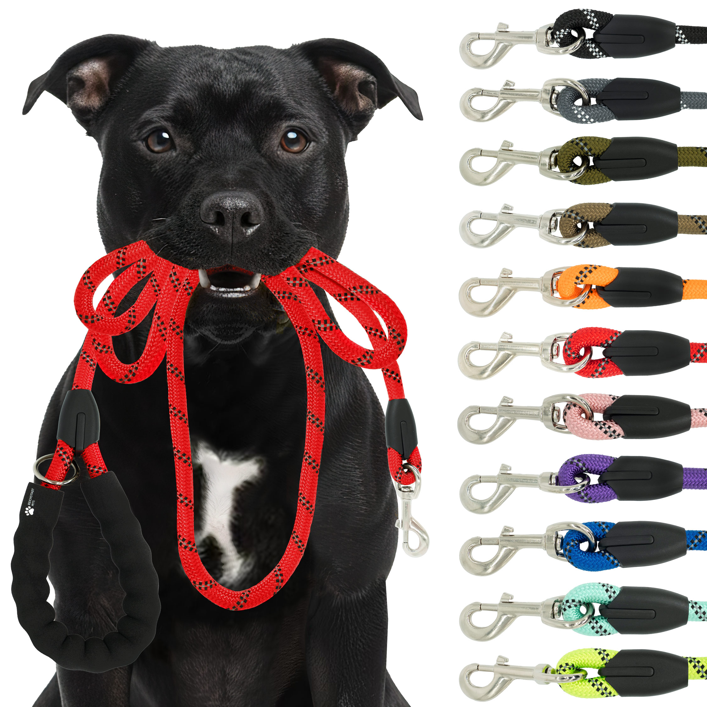 RS Pets Hundeleine Nylon in Red – Reichstadt