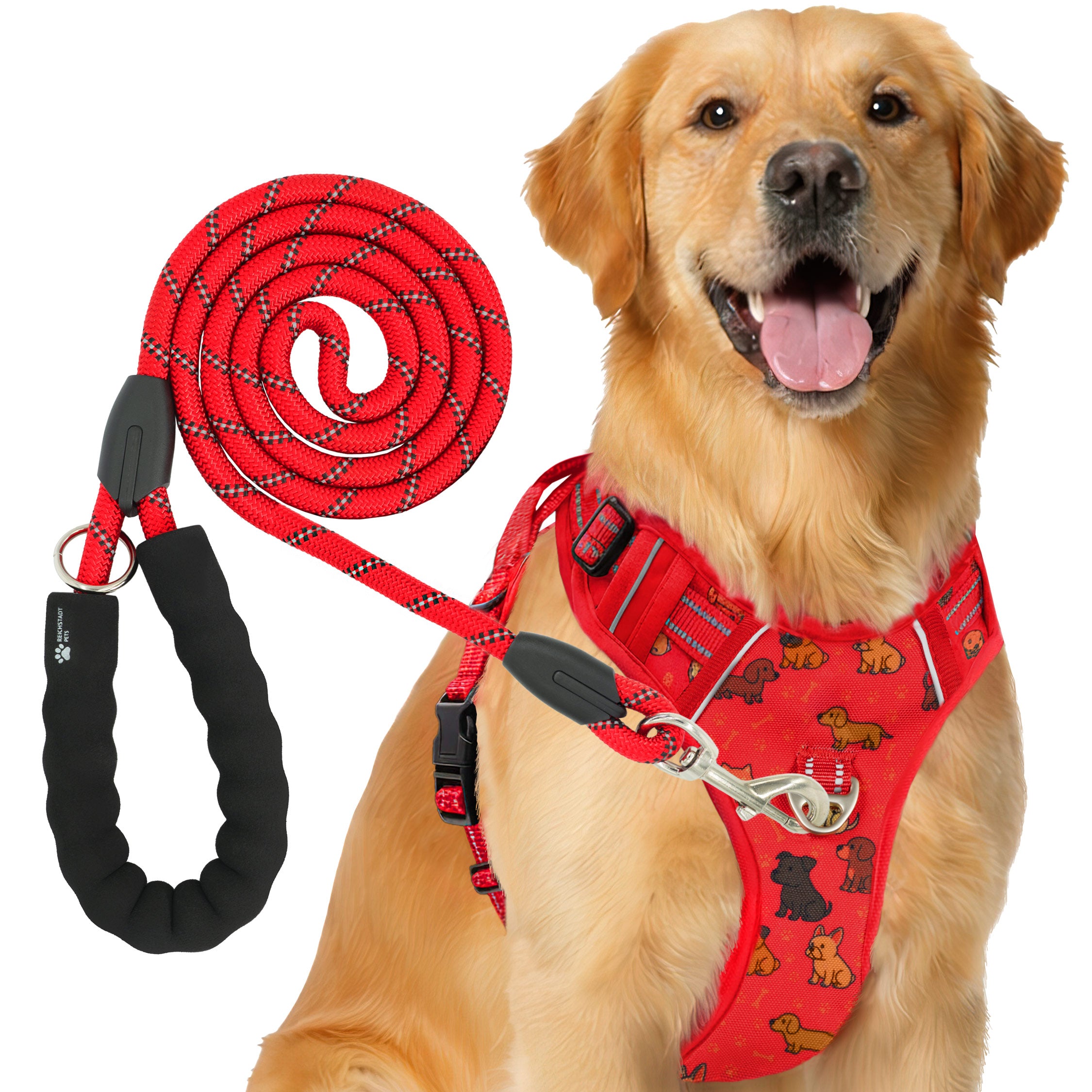 RS Pets Hundegeschirr & Leinen Set in Puppy Love Red – Reichstadt