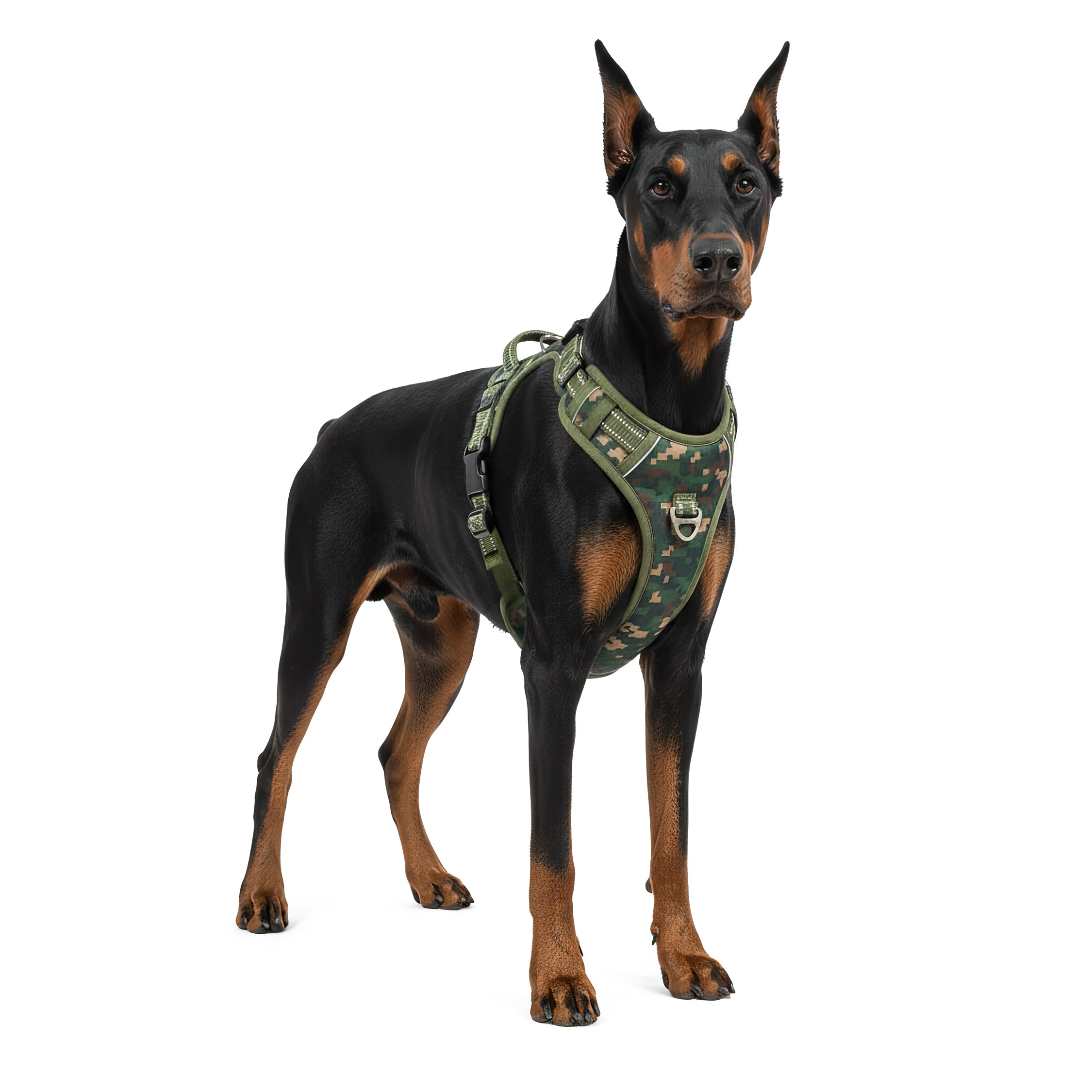 RS Pets Hundegeschirr in Camouflage Green – Reichstadt