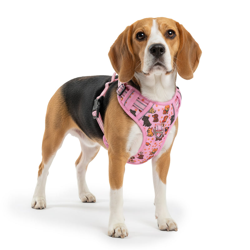 Hundegeschirr 25RSP083 - Puppy Parade Pink