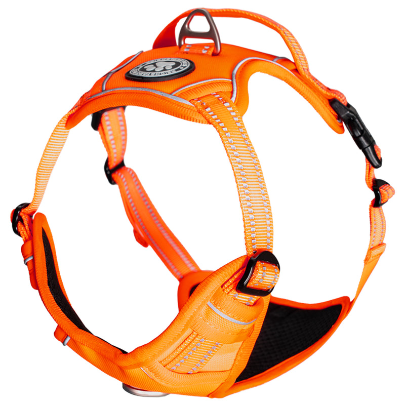 RS Pets Hundegeschirr 25RSP083 - Orange