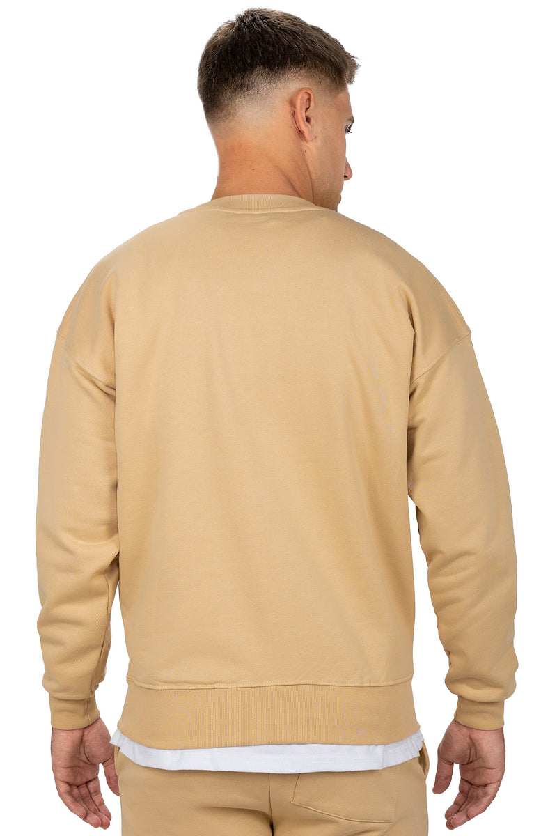 Herren Regular Fit Pullover Logo-Stitching 23RS037 - Beige