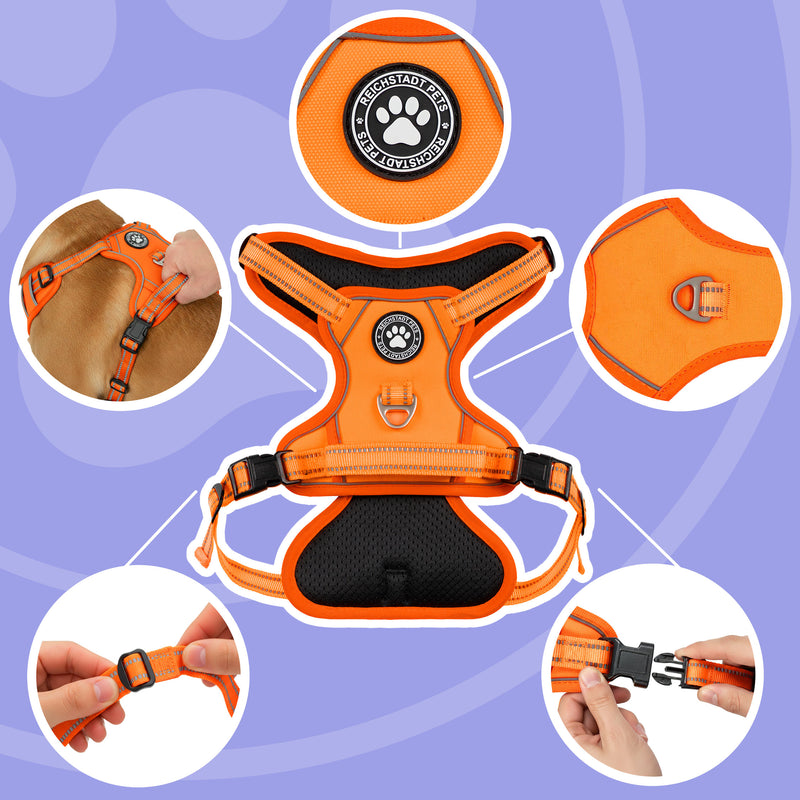 RS Pets Hundegeschirr & Leinen Set 25RSP083-4 - Orange