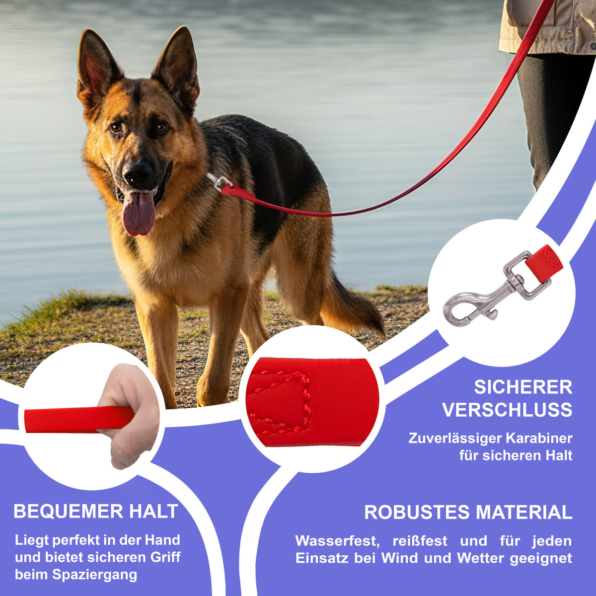 RS Pets Hundeleine PVC 25RSP086 - Red