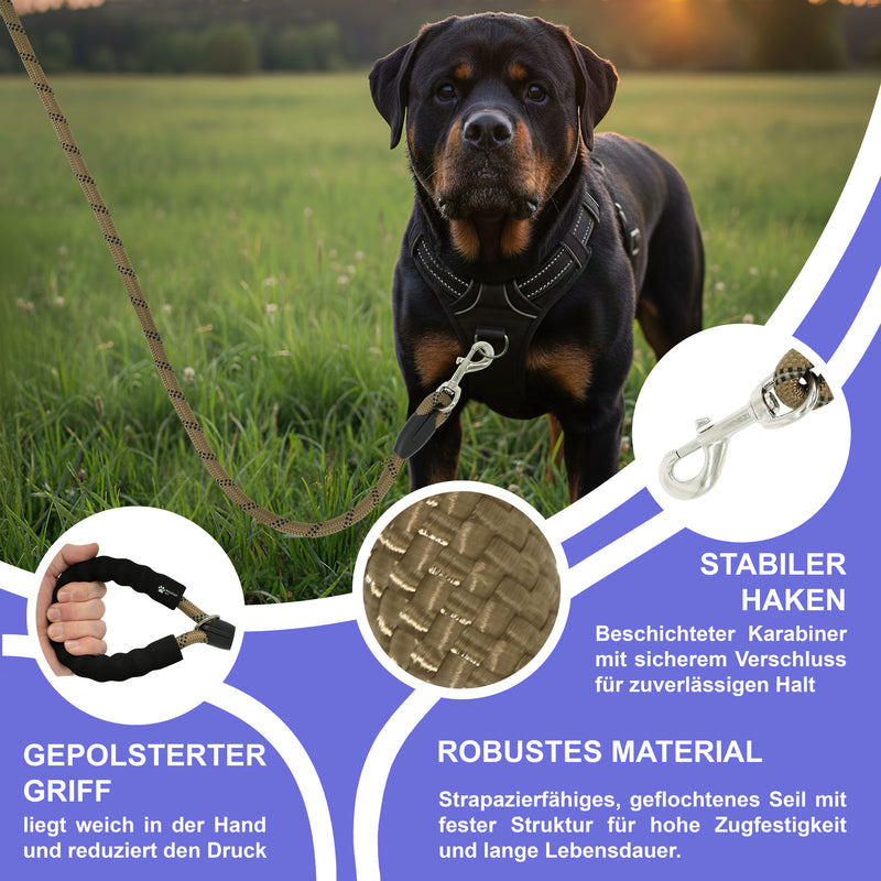 RS Pets Hundeleine Nylon 25RSP084 - Brown