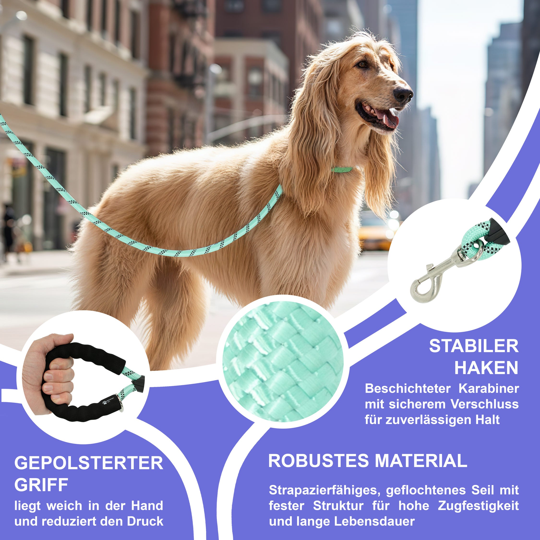RS Pets Hundeleine Nylon 25RSP084 - Turquoise