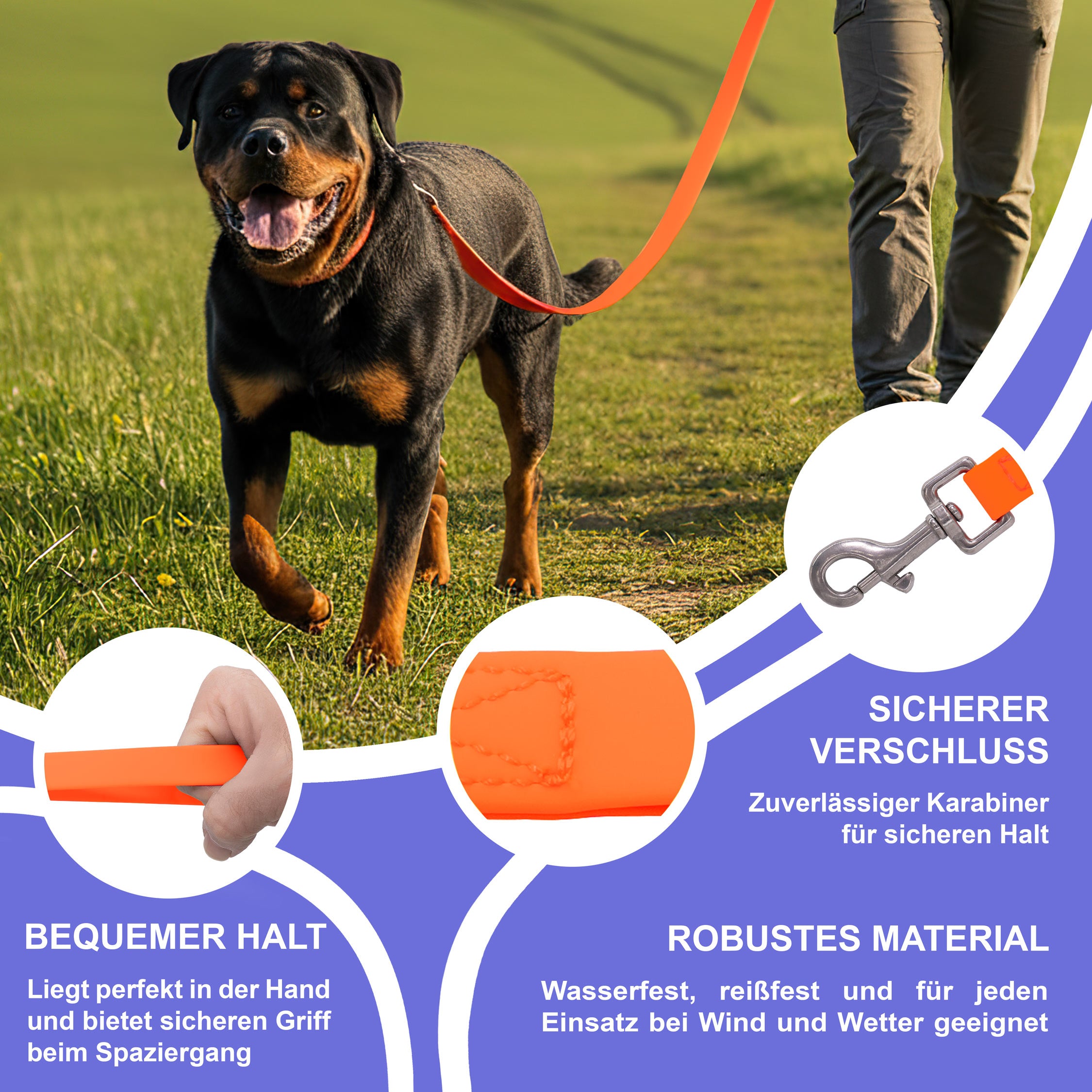 RS Pets Hundeleine PVC 25RSP086 - Orange