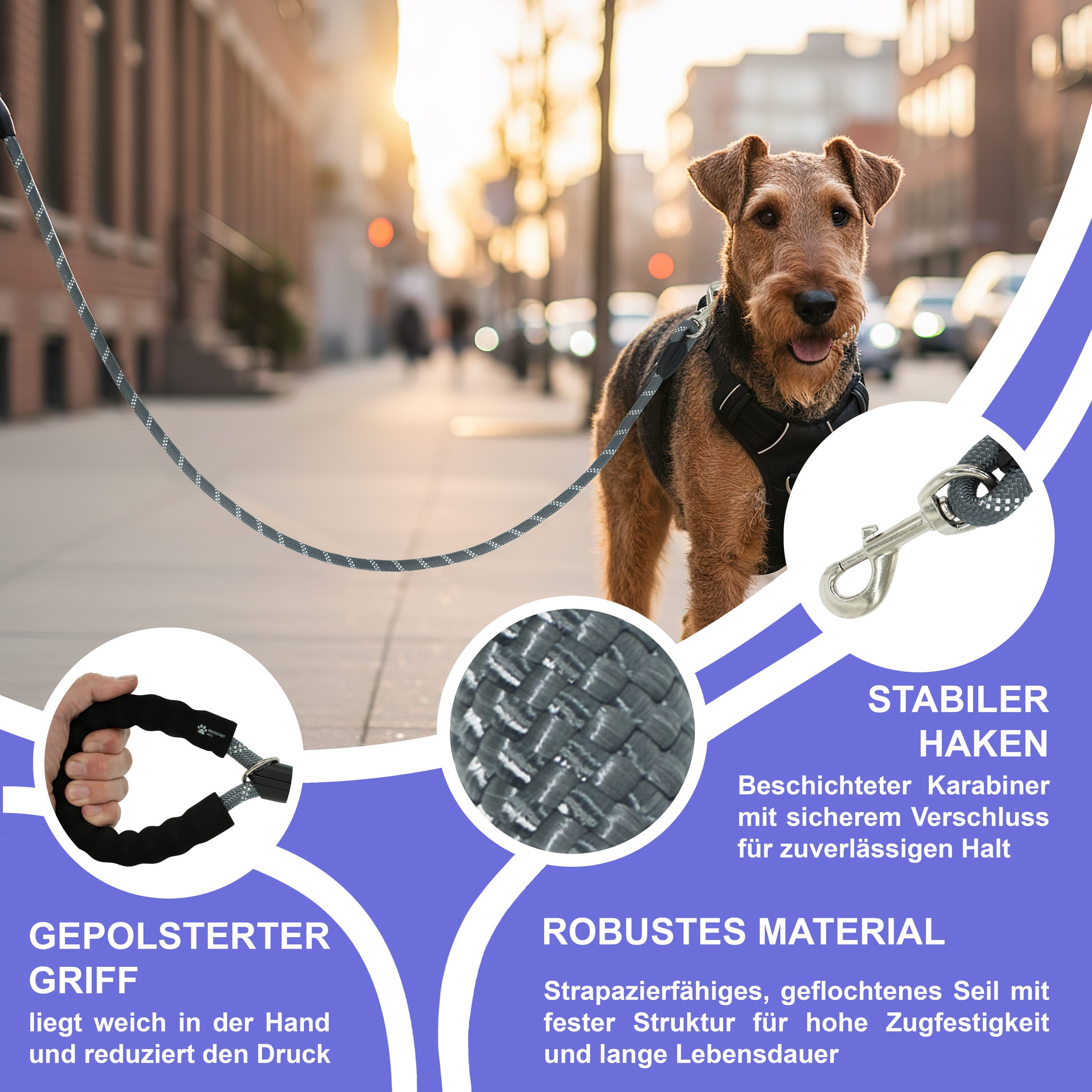 RS Pets Hundeleine Nylon 25RSP084 - Grey