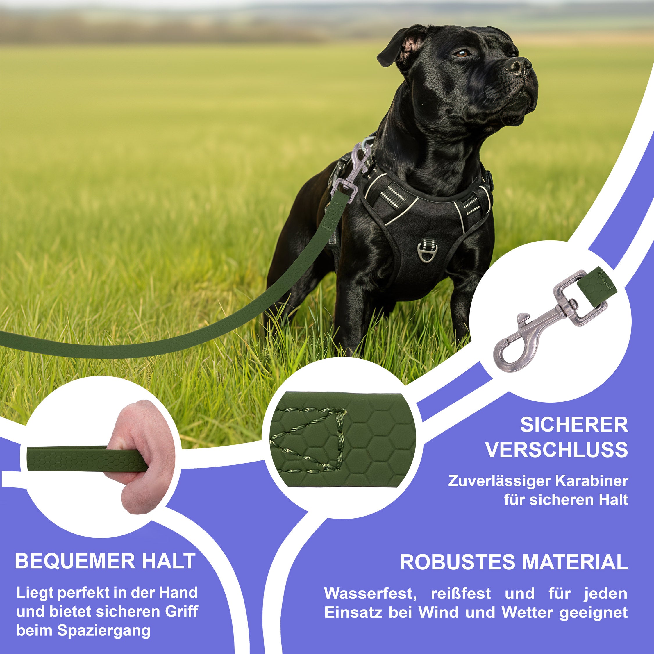 RS Pets Hundeleine Texturierte PVC 25RSP085 - Green