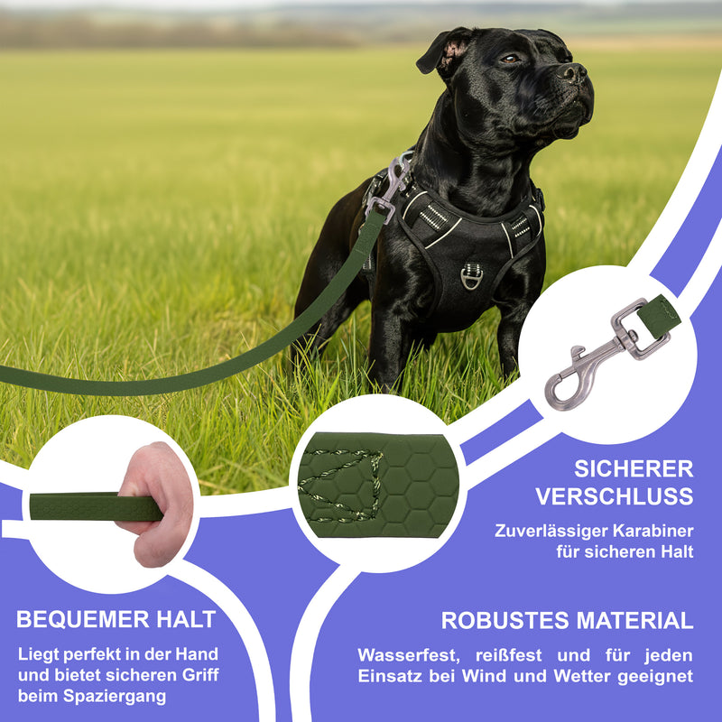 RS Pets Hundeleine Texturierte PVC 25RSP085 - Green