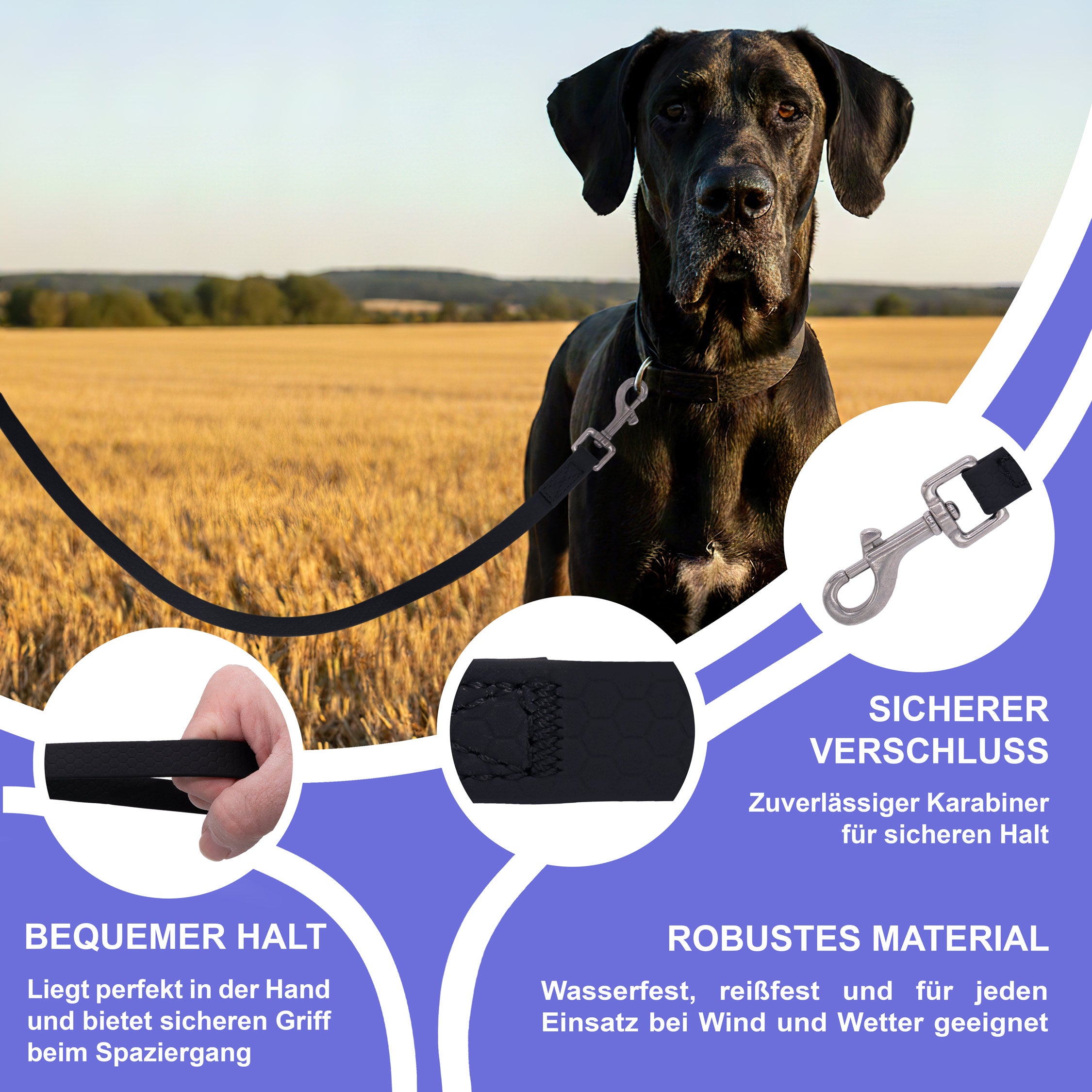 RS Pets Hundeleine Texturierte PVC 25RSP085 - Black