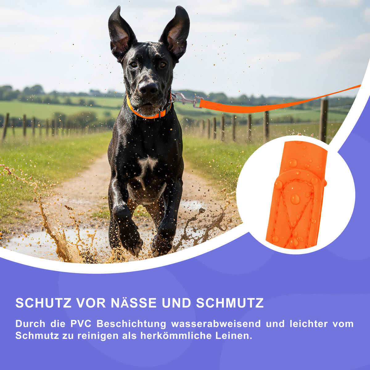 RS Pets Hundeleine PVC 25RSP086 - Orange