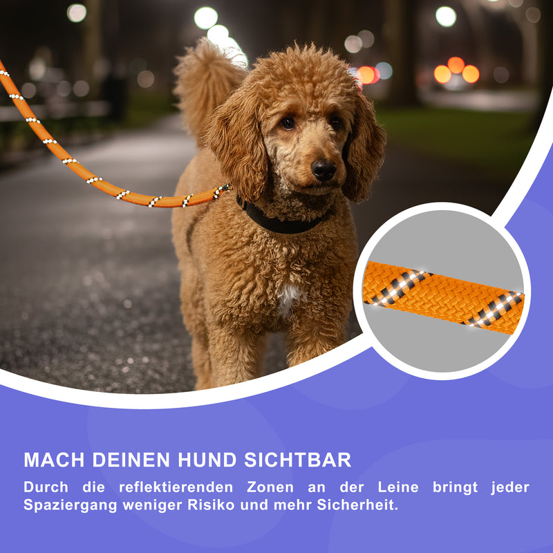 RS Pets Hundeleine Nylon 25RSP084 - Orange
